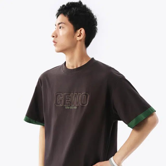 GEWO 270glogoT