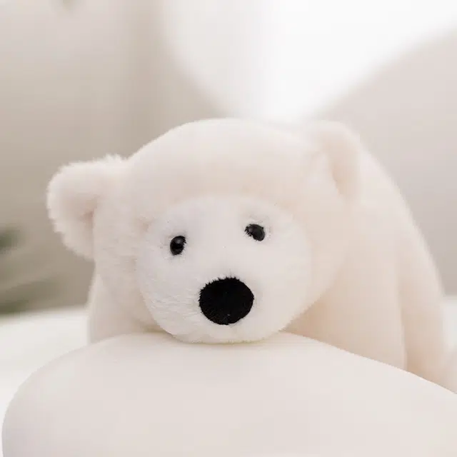SPECIAL BABY 26cm22cm32cm50cm