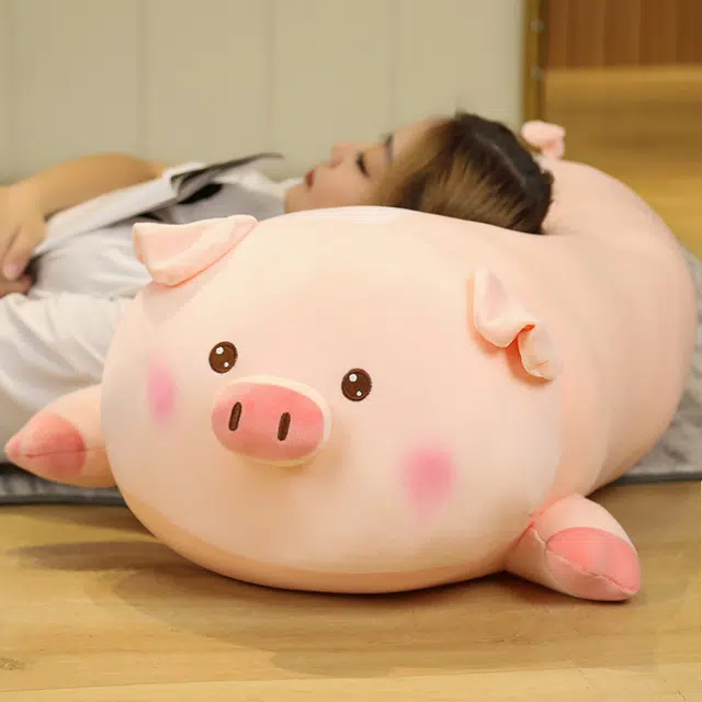 50cm60cm80cm100cm