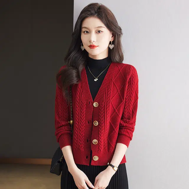 PIERRE CARDIN V