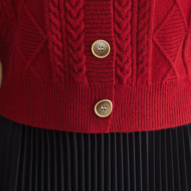 PIERRE CARDIN V