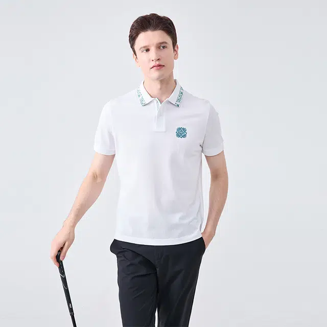 DIDIBOY LogoPolo
