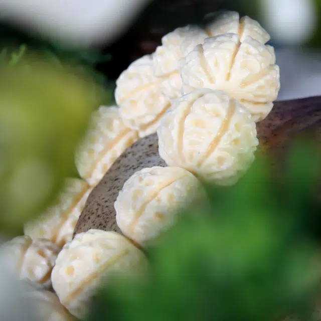 檀欣 新中式国潮 精雕珠串 小众设计立体感纹文玩 素串 念珠佛珠 象牙果 菩提类手串 男款 礼盒装