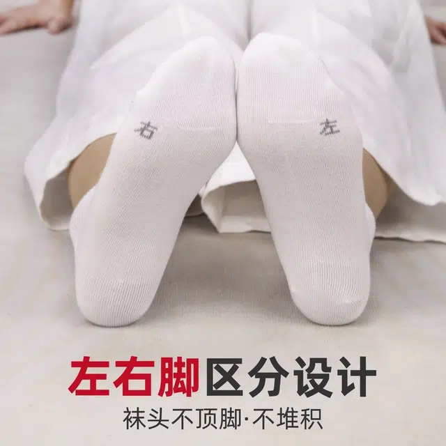 潘世家 透气网眼低帮浅口船袜 女款 五双装