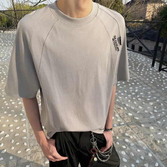 fdragon T