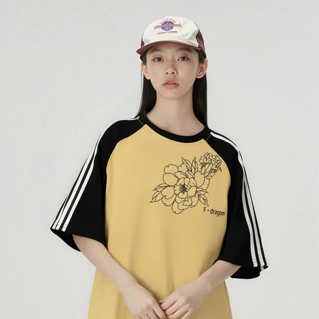fdragon T