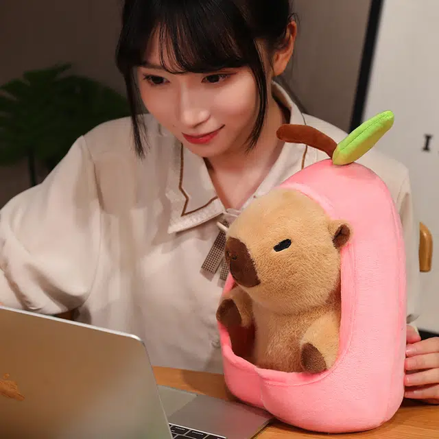 20cm30cm