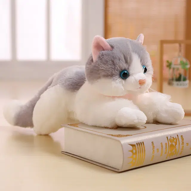 ZHUOQU