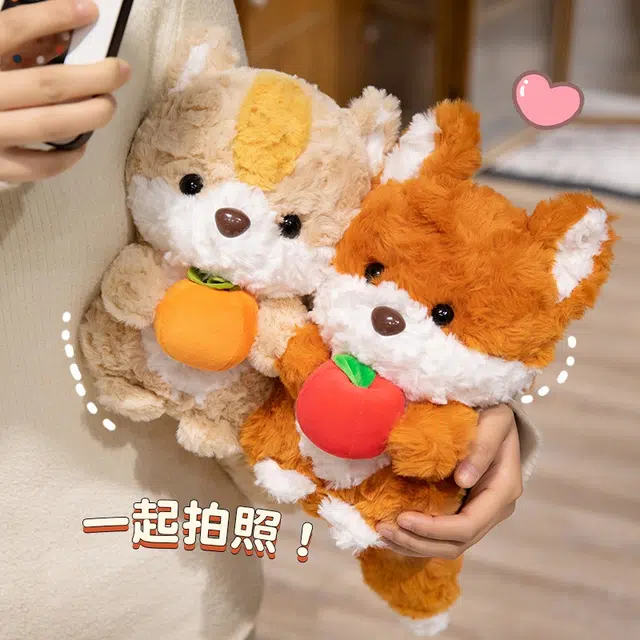 24cm