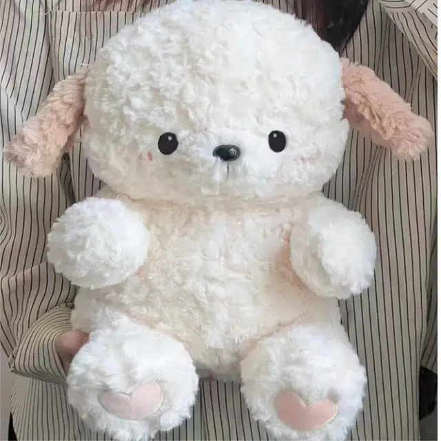 23cm
