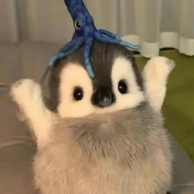 20cm
