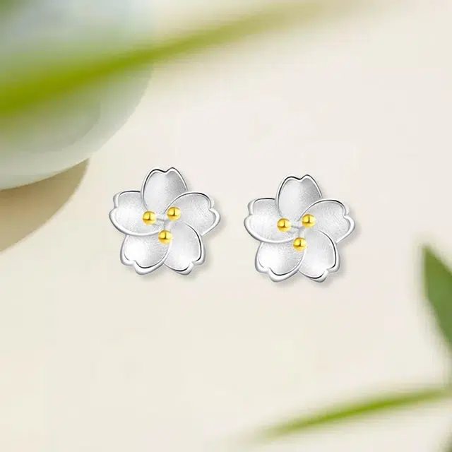 RboySe ins 925