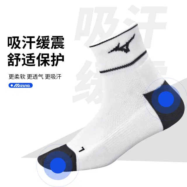 Mizuno 1