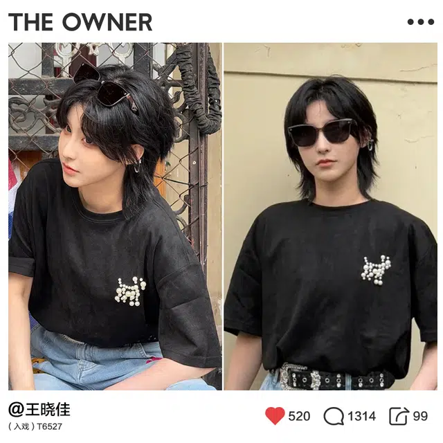 THE OWNER