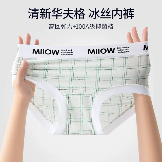 MIIOW 100A 3