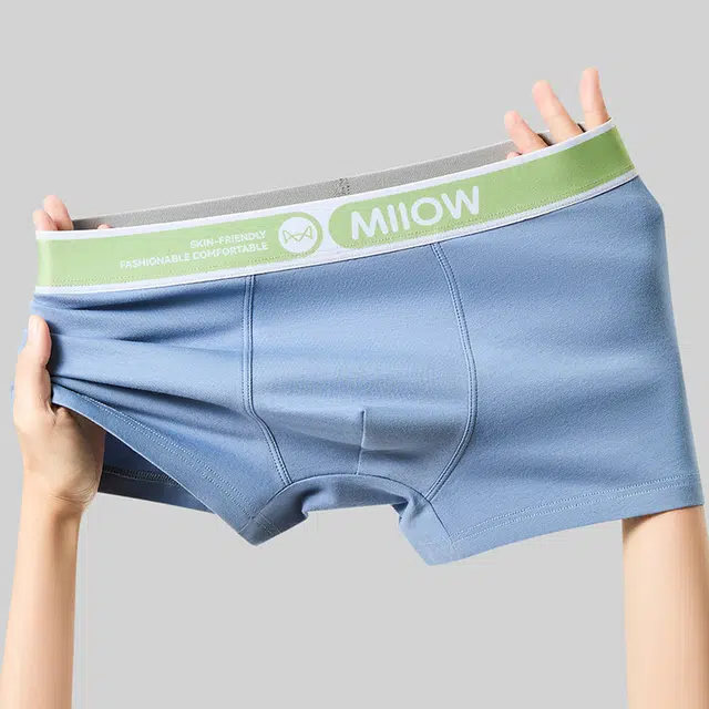 MIIOW 10A 3