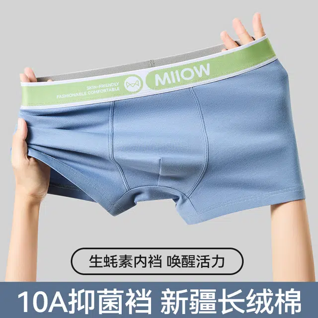 MIIOW 10A 3