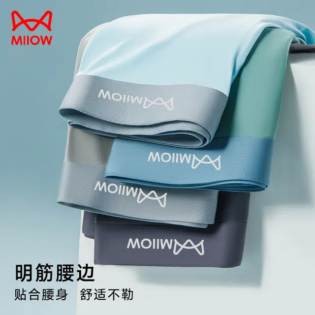 MIIOW 10A 3