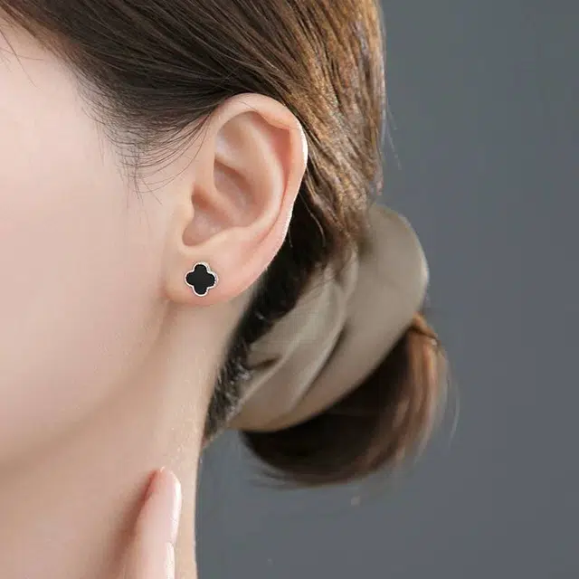FANSHINER ins S925
