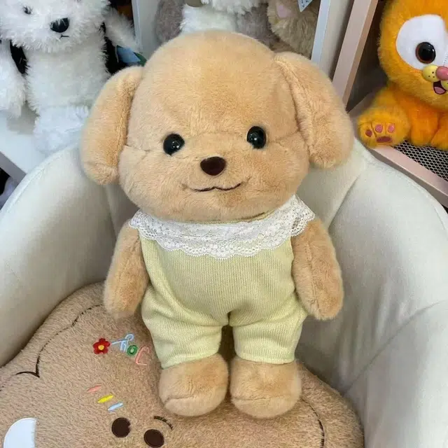 OLOEY 25cm35cm