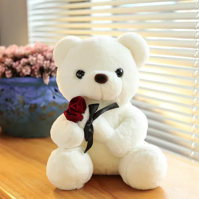 abay 30cm