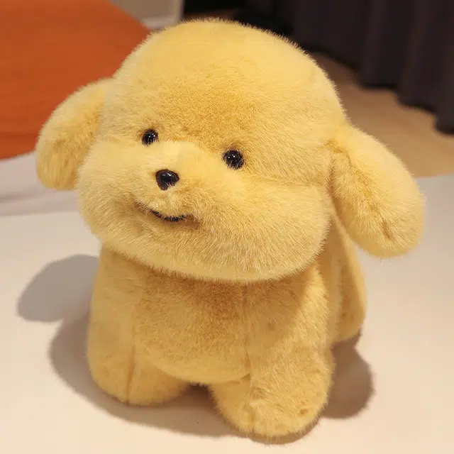 abay 20cm30cm