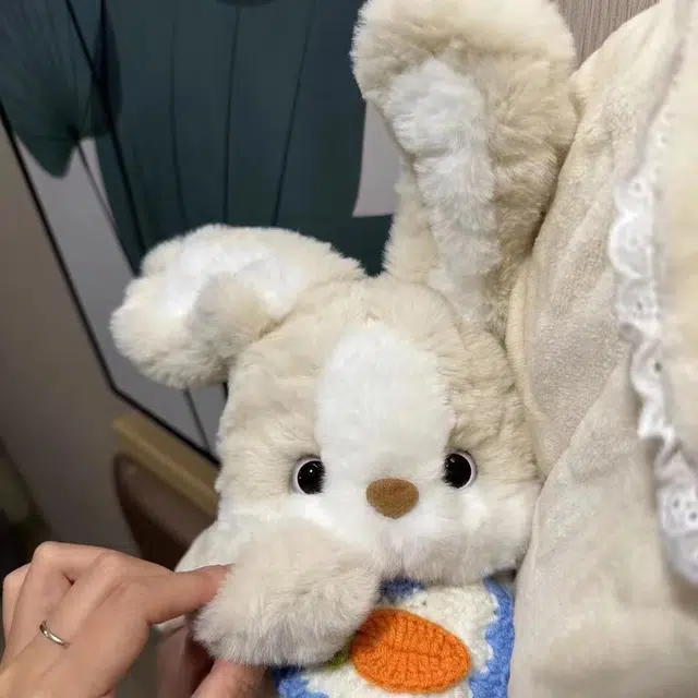 abay 30cm