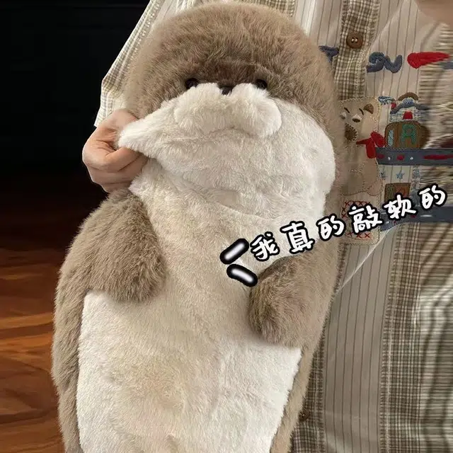 abay 40cm70cm