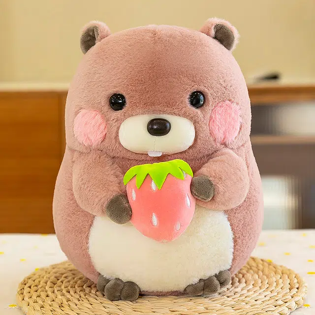 abay 20cm30cm
