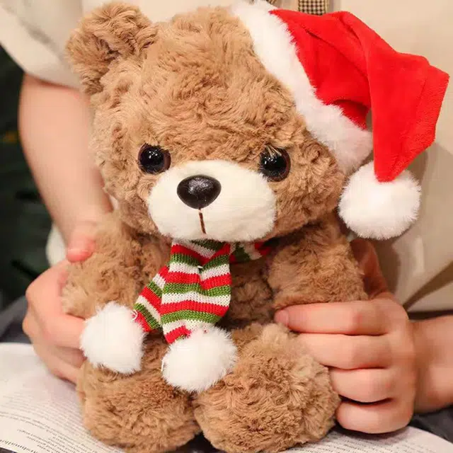 Brangdy 25cm