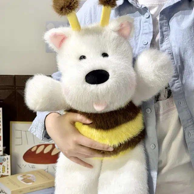 Brangdy 45cm