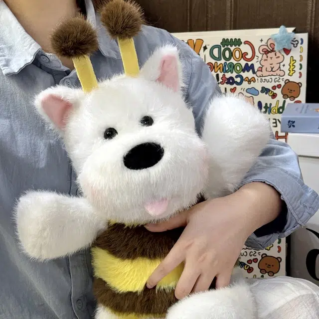 Brangdy 45cm