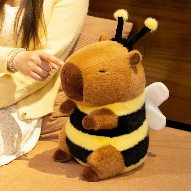 Brangdy 23cm33cm