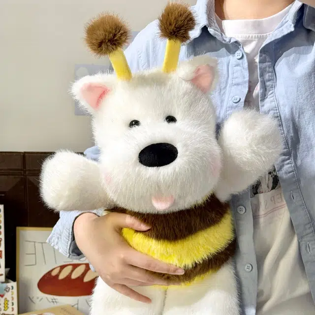 Brangdy 45cm
