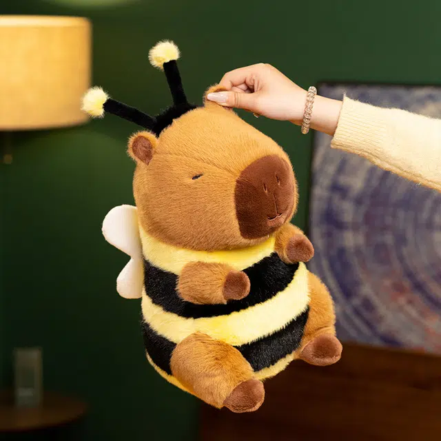 Brangdy 23cm33cm