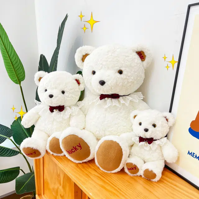 Brangdy 28cm45cm65cm