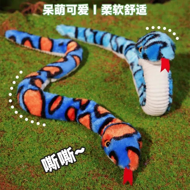 35cm50cm70cm