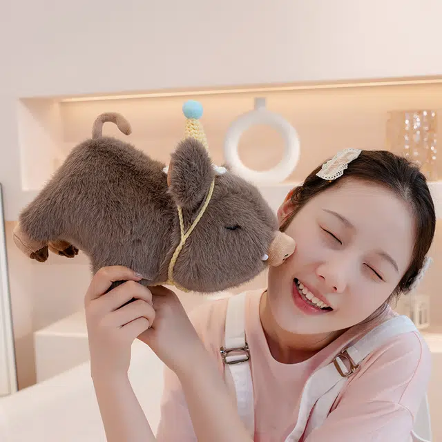 20cm30cm