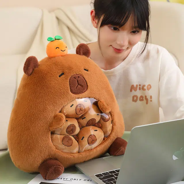 10cm35cm
