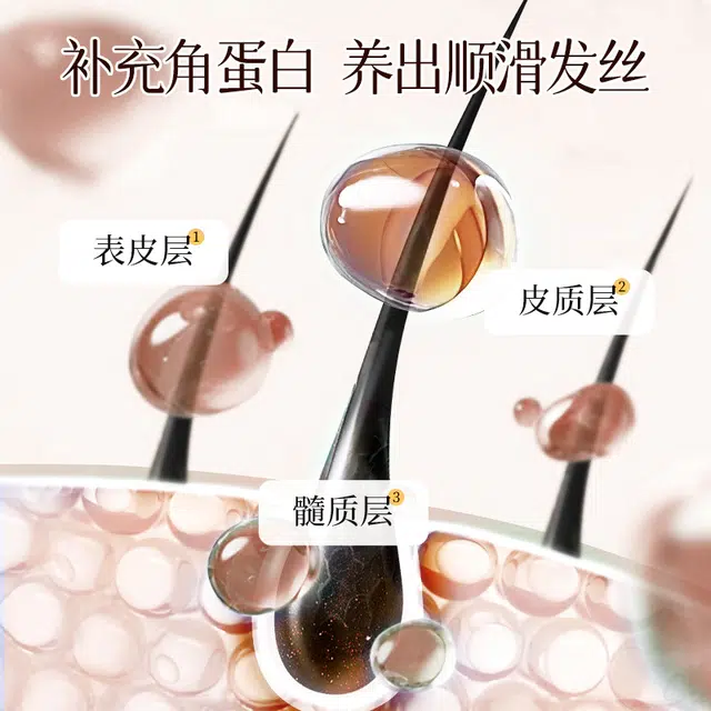 亮庄 香氛护理系列 男女温和控油丰盈蓬松角蛋白洗发露 深层清洁护发清爽持久留香