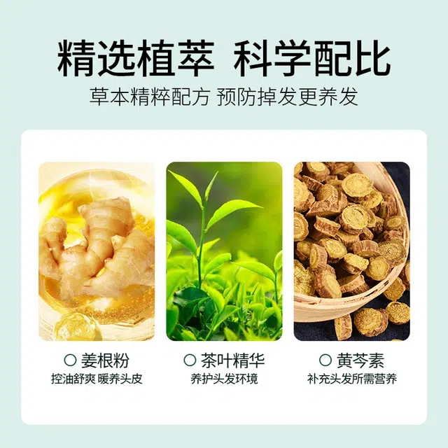 亮庄 防脱固发控油去屑洗发露润发留香 护发滋养清爽强韧丰盈蓬松