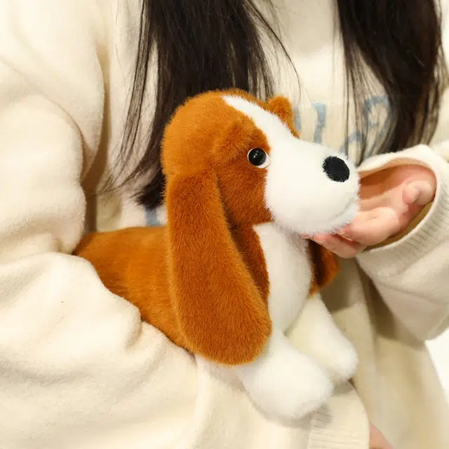 20cm