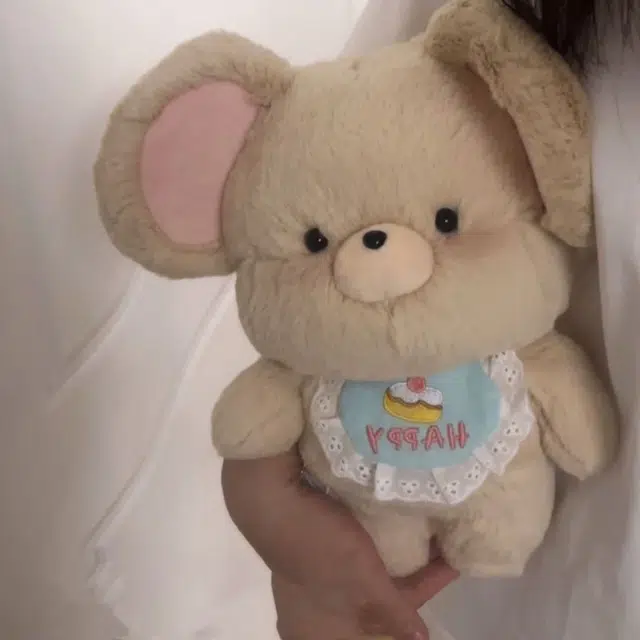 20cm30cm