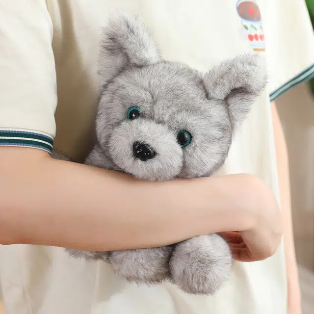 22cm