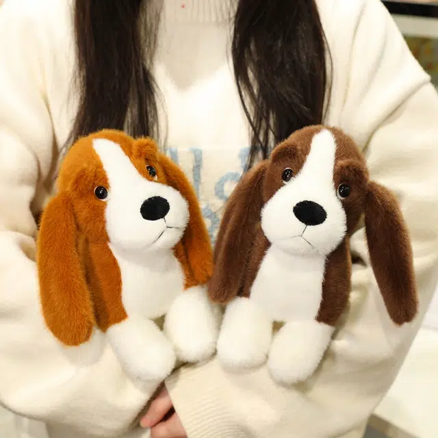 20cm