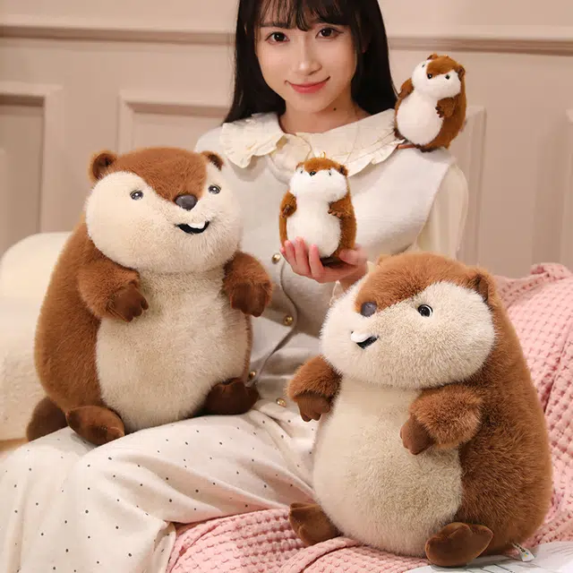 12cm35cm