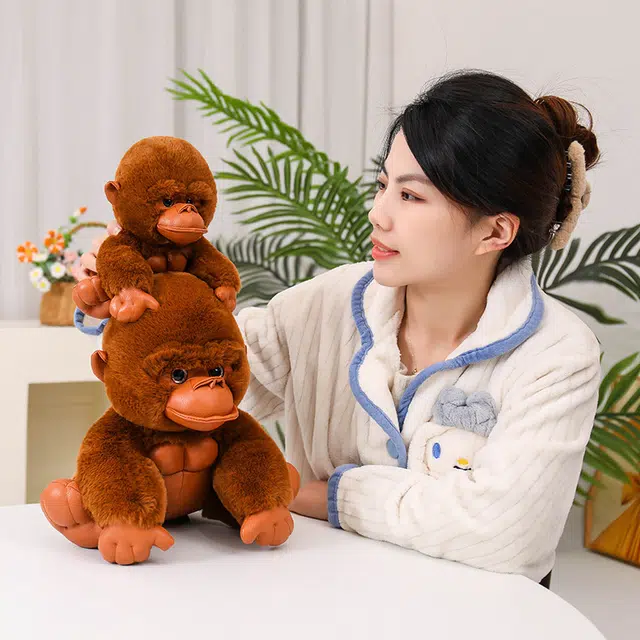 20cm30cm