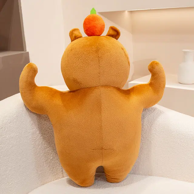 36cm58cm