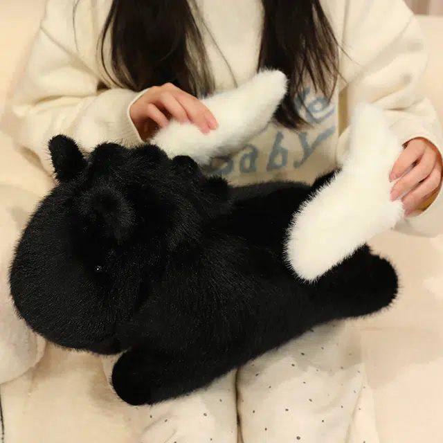 46cm