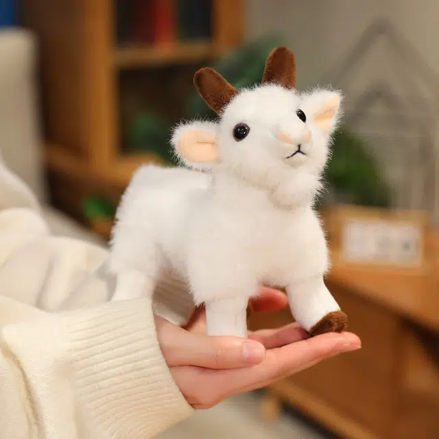 16cm